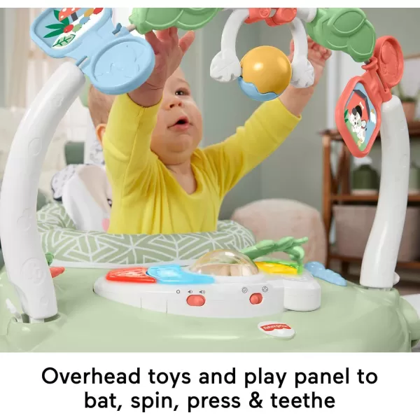 FisherPrice Baby Bouncer SpaceSaver Jumperoo Musical Activity Center with Lights Sounds ampamp Developmental Toys Puppy PerfectionPuppy