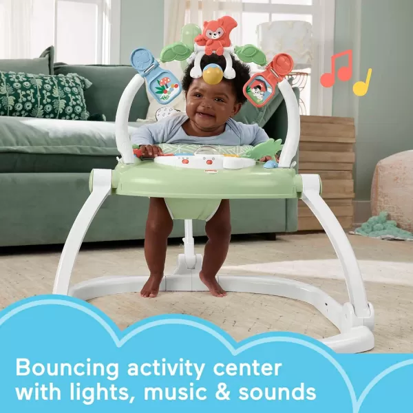 FisherPrice Baby Bouncer SpaceSaver Jumperoo Musical Activity Center with Lights Sounds ampamp Developmental Toys Puppy PerfectionPuppy