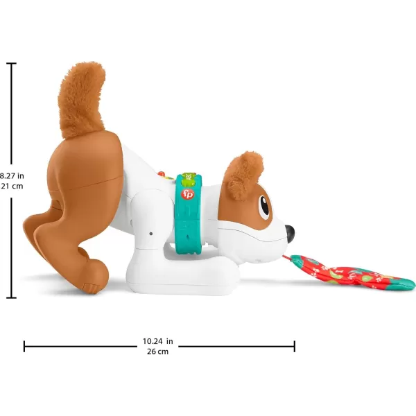 FisherPrice Baby Learning Toy 123 Crawl with Me Puppy Electronic Dog with Smart Stages Content ampamp Lights for Ages 6 Months Amazon Exclusive