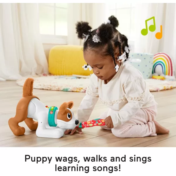 FisherPrice Baby Learning Toy 123 Crawl with Me Puppy Electronic Dog with Smart Stages Content ampamp Lights for Ages 6 Months Amazon Exclusive