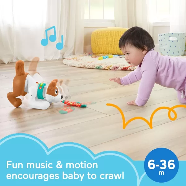 FisherPrice Baby Learning Toy 123 Crawl with Me Puppy Electronic Dog with Smart Stages Content ampamp Lights for Ages 6 Months Amazon Exclusive