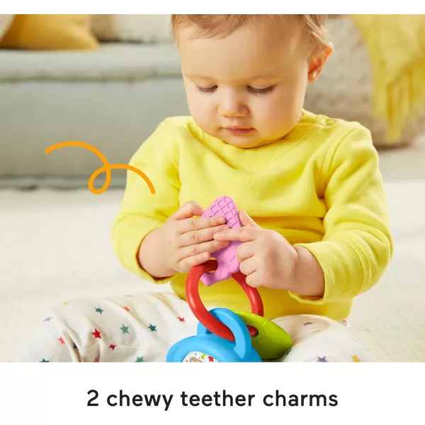 FisherPrice Baby Learning Toy Laugh ampamp Learn DigiPuppy Pretend Digital Pet with Music ampamp Lights for Developmental Play Infant Ages 6 Months