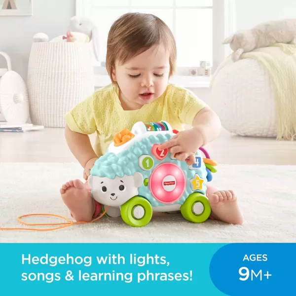 FisherPrice Baby Learning Toy Linkimals Happy Shapes Hedgehog for Ages 9 Months Compatible Only with Linkimals Items