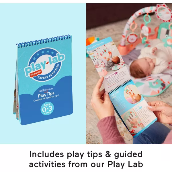 FisherPrice Baby Play Kit Lets Try Tummy Time Gift Set Developmental Toys with Activity Guide for Infants Ages 3 Months03 Months