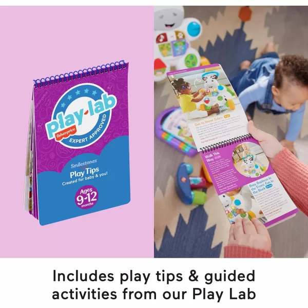 FisherPrice Baby Play Kit Lets Try Tummy Time Gift Set Developmental Toys with Activity Guide for Infants Ages 3 Months912 Month