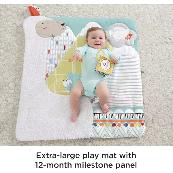 FisherPrice Baby Playmat Perfect Sense Deluxe Gym with Tummy Time Wedge ampamp Sensory Activities for Developmental Play Newborns Ages 0 Months