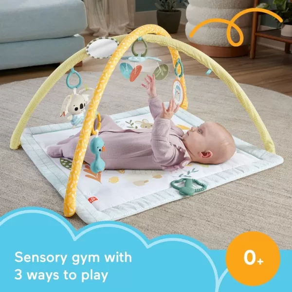 FisherPrice Baby Playmat Simply Senses Newborn Gym with Mobile ampamp Sensory Activity Toys for Developmental Play Ages 0 MonthsSimply Senses Activity Gym