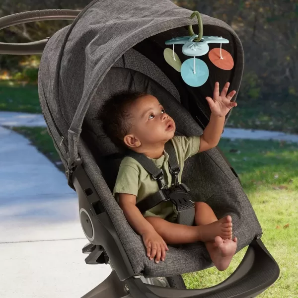 FisherPrice Baby Playmat Simply Senses Newborn Gym with Mobile ampamp Sensory Activity Toys for Developmental Play Ages 0 MonthsSimply Senses Activity Gym