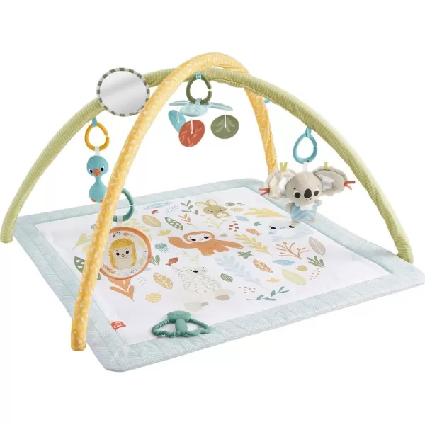 FisherPrice Baby Playmat Simply Senses Newborn Gym with Mobile ampamp Sensory Activity Toys for Developmental Play Ages 0 MonthsSimply Senses Activity Gym