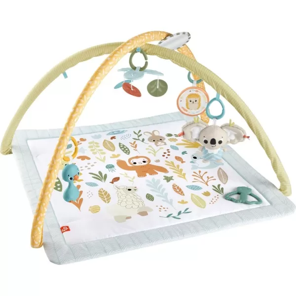 FisherPrice Baby Playmat Simply Senses Newborn Gym with Mobile ampamp Sensory Activity Toys for Developmental Play Ages 0 MonthsSimply Senses Activity Gym