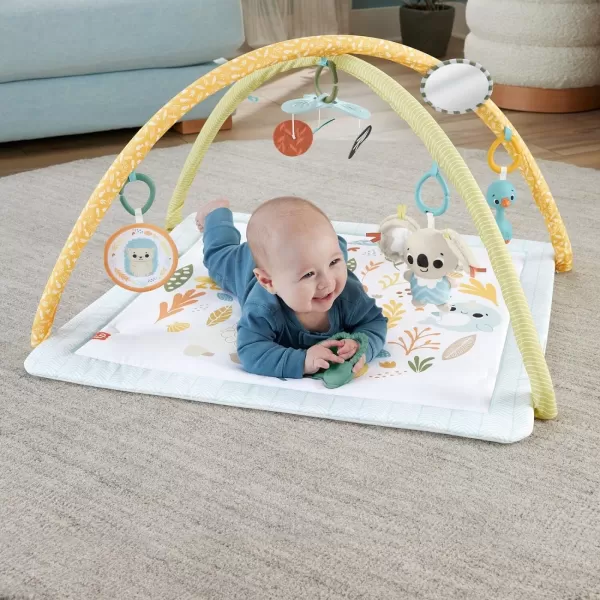 FisherPrice Baby Playmat Simply Senses Newborn Gym with Mobile ampamp Sensory Activity Toys for Developmental Play Ages 0 MonthsSimply Senses Activity Gym