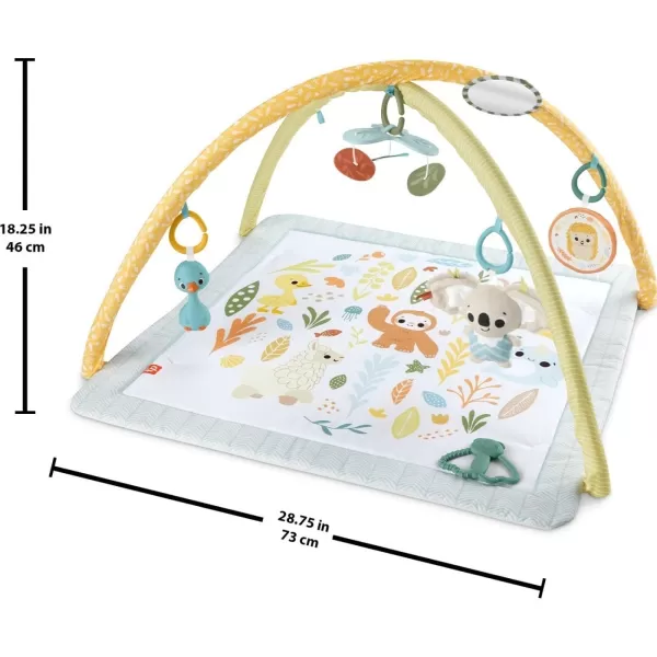 FisherPrice Baby Playmat Simply Senses Newborn Gym with Mobile ampamp Sensory Activity Toys for Developmental Play Ages 0 MonthsSimply Senses Activity Gym