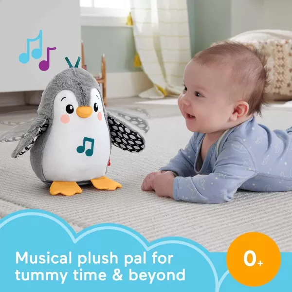 FisherPrice Baby Tummy Time Toy Flap ampamp Wobble Penguin Plush with Music ampamp Motion for Sensory Play Newborns Ages 0 MonthsModern