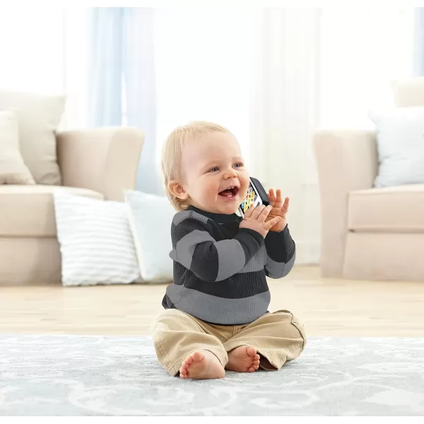 FisherPrice Baby ampamp Toddler Toy Laugh ampamp Learn 2in1 Slide to Learn Smartphone with Lights ampamp Music for Infants Ages 9 MonthsWhite