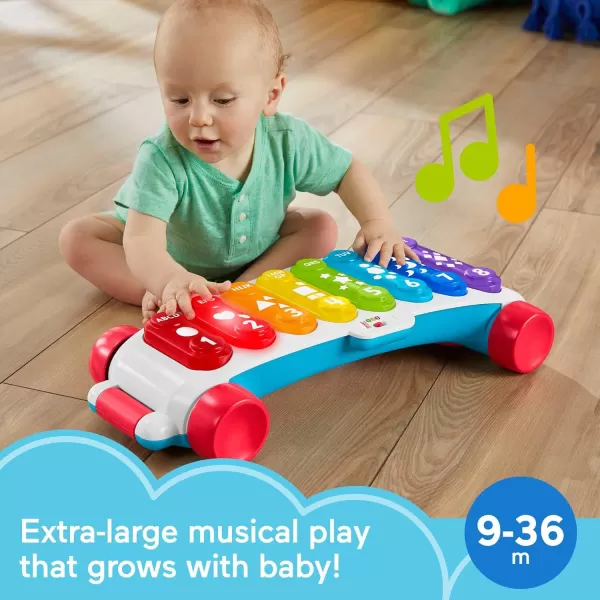 FisherPrice Baby to Toddler Learning Toy Giant LightUp Xylophone PullAlong Musical Activity with Smart Stages for Infants Ages 9 MonthsRetail Packaging