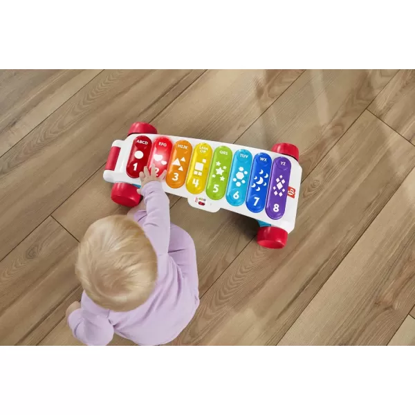 FisherPrice Baby to Toddler Learning Toy Giant LightUp Xylophone PullAlong Musical Activity with Smart Stages for Infants Ages 9 MonthsShips in Own Container