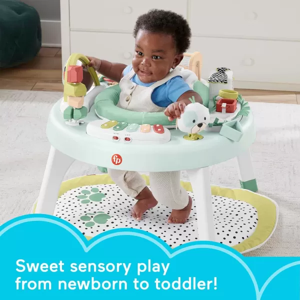 FisherPrice Baby to Toddler Toy 3in1 SnugaPuppy Activity Center and Play Table with Lights Sounds and Developmental Activities