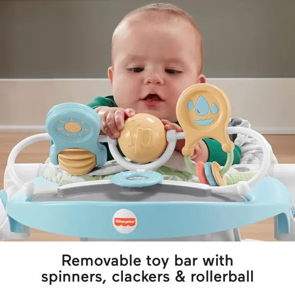 FisherPrice Portable Baby Chair Deluxe SitMeUp Floor Seat with Feeding Tray ampamp Activity Toy Bar Snow LeopardBaby Seat