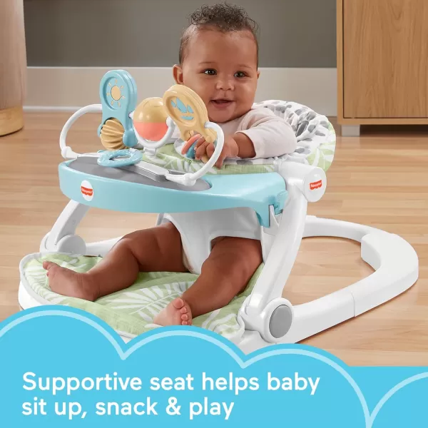 FisherPrice Portable Baby Chair Deluxe SitMeUp Floor Seat with Feeding Tray ampamp Activity Toy Bar Snow LeopardBaby Seat
