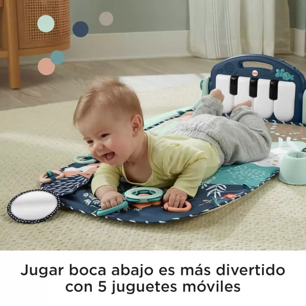 FisherPrice Portable Baby Chair SitMeUp Floor Seat CrabThemed with Snack Tray Developmental Activity Toys ampamp Washable Seat PadPuppy