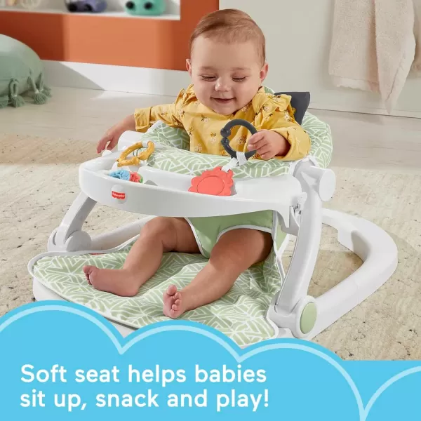 FisherPrice Portable Baby Chair SitMeUp Floor Seat CrabThemed with Snack Tray Developmental Activity Toys ampamp Washable Seat PadPuppy