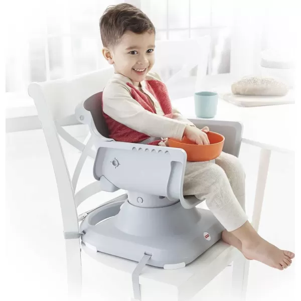 FisherPrice SpaceSaver Simple Clean High Chair Baby to Toddler Portable Dining Seat with Removable Tray Liner WindmillMulticolor