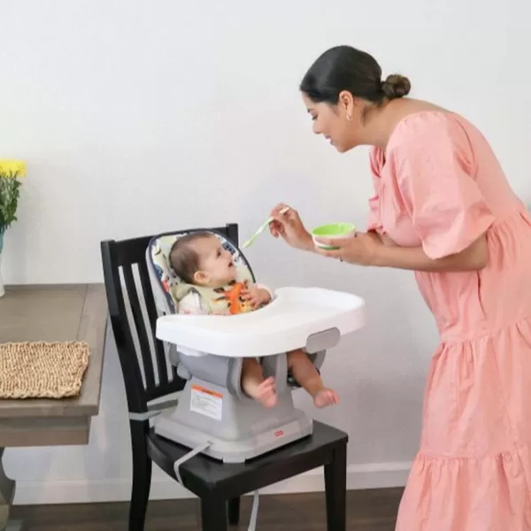 FisherPrice SpaceSaver Simple Clean High Chair Baby to Toddler Portable Dining Seat with Removable Tray Liner WindmillPacific Pebble