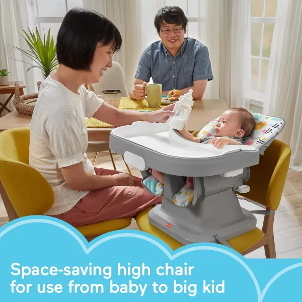 FisherPrice SpaceSaver Simple Clean High Chair Baby to Toddler Portable Dining Seat with Removable Tray Liner WindmillPink