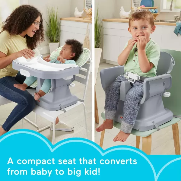 FisherPrice SpaceSaver Simple Clean High Chair Baby to Toddler Portable Dining Seat with Removable Tray Liner WindmillPuppy
