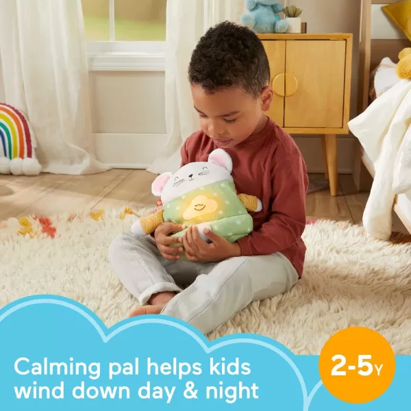 FisherPrice Toddler Toy Meditation Mouse Mindfulness Plush with Guided Relaxation Exercises Music ampamp Lights for Kids Ages 2 Years