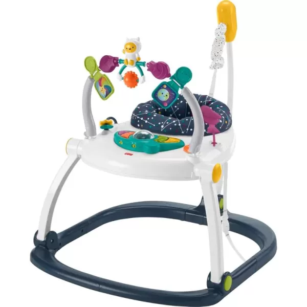 FisherPrice Baby Bouncer SpaceSaver Jumperoo Musical Activity Center with Lights Sounds ampamp Developmental Toys Puppy PerfectionSpace