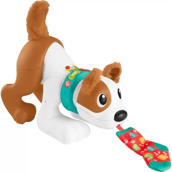 FisherPrice Baby Learning Toy 123 Crawl with Me Puppy Electronic Dog with Smart Stages Content ampamp Lights for Ages 6 Months Amazon Exclusive