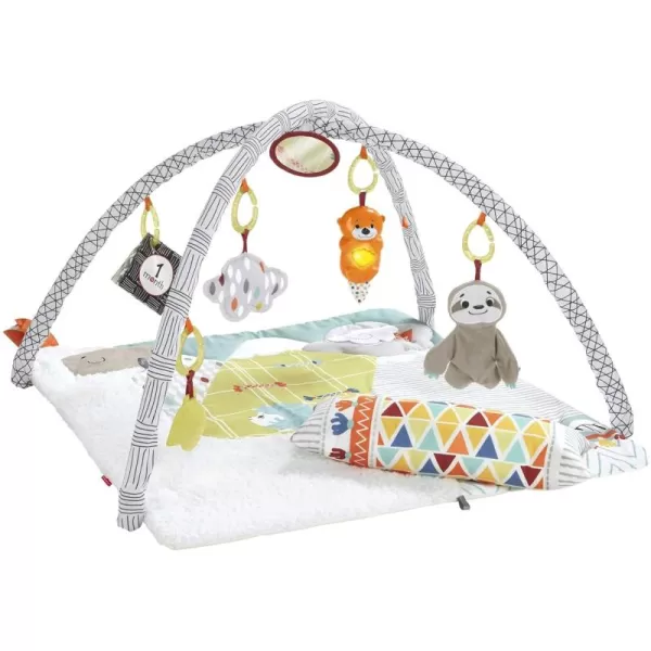 FisherPrice Baby Playmat Perfect Sense Deluxe Gym with Tummy Time Wedge ampamp Sensory Activities for Developmental Play Newborns Ages 0 Months