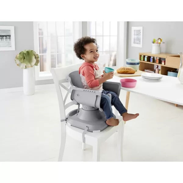 FisherPrice SpaceSaver High Chair