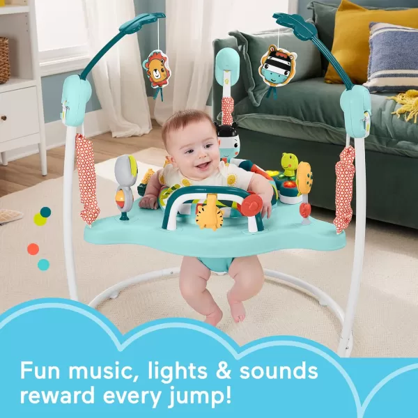 imageFisherPrice Baby Bouncer Activity Center Blooming Fun Jumperoo with Music Lights and Developmental Toys for InfantsColorful Jumperoo