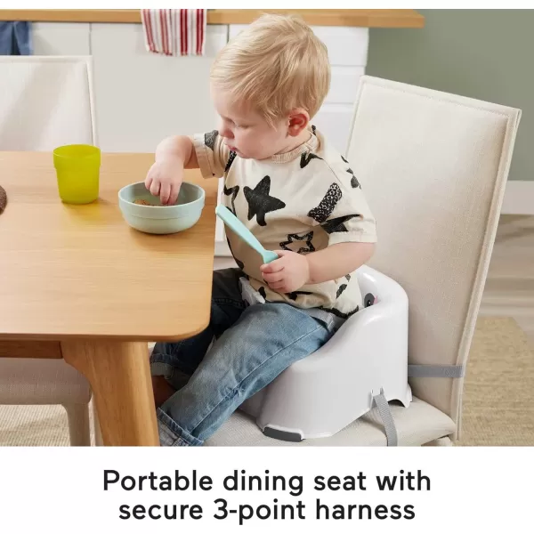 imageFisherPrice Toddler Booster Seat Simple Clean ampamp Comfort Raccoon Chair for Dining Table ampamp Travel with Baby Contoured SeatRaccoon