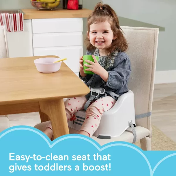 imageFisherPrice Toddler Booster Seat Simple Clean ampamp Comfort Raccoon Chair for Dining Table ampamp Travel with Baby Contoured SeatRaccoon