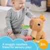 imageFisherPrice Baby Sensory Toy Snuggly Snacky Capybara Plush with Newborn Teether ampamp Rattle Activities for Infants Ages 3 Months