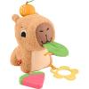 imageFisherPrice Baby Sensory Toy Snuggly Snacky Capybara Plush with Newborn Teether ampamp Rattle Activities for Infants Ages 3 Months