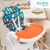 imageFisherPrice Tiny Bites High Chair 7 Height Positions Easy Fold Portable Plastic Rainbow Sherbert 636 MonthsRainbow Sherbert