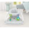 imageFisherPrice Portable Baby Chair Darling Dots SitMeUp Floor Seat with BPAFree Teether ampamp Clacker Newborn Developmental ToysGrey