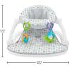 imageFisherPrice Portable Baby Chair Darling Dots SitMeUp Floor Seat with BPAFree Teether ampamp Clacker Newborn Developmental ToysGrey