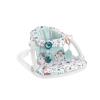 imageFisherPrice Portable Baby Chair Darling Dots SitMeUp Floor Seat with BPAFree Teether ampamp Clacker Newborn Developmental ToysPacific Pebble