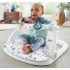 imageFisherPrice Portable Baby Chair Darling Dots SitMeUp Floor Seat with BPAFree Teether ampamp Clacker Newborn Developmental ToysPacific Pebble