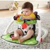 imageFisherPrice Portable Baby Chair Darling Dots SitMeUp Floor Seat with BPAFree Teether ampamp Clacker Newborn Developmental ToysPanda