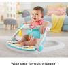imageFisherPrice Portable Baby Chair Darling Dots SitMeUp Floor Seat with BPAFree Teether ampamp Clacker Newborn Developmental ToysWindmill