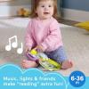 imageFisherPrice Baby Toy Purple Monkey Musical Storybook with Lights ampamp Sounds for Infants ampamp Toddlers Ages 6 Months