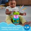 imageFisherPrice Baby Learning Toy Laugh ampamp Learn Camping Fun Lantern Pretend Camping Gear with Lights ampamp Music for Infants Ages 6 Months