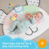imageFisherPrice Baby Tummy Time Toy Puppy Perfection Giant Play Mat with Sensory Development Activities for Newborns 0 Months Amazon Exclusive