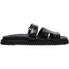 Black Crocodile
